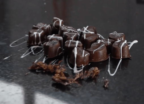 cómo cocinar grillos con chocolate