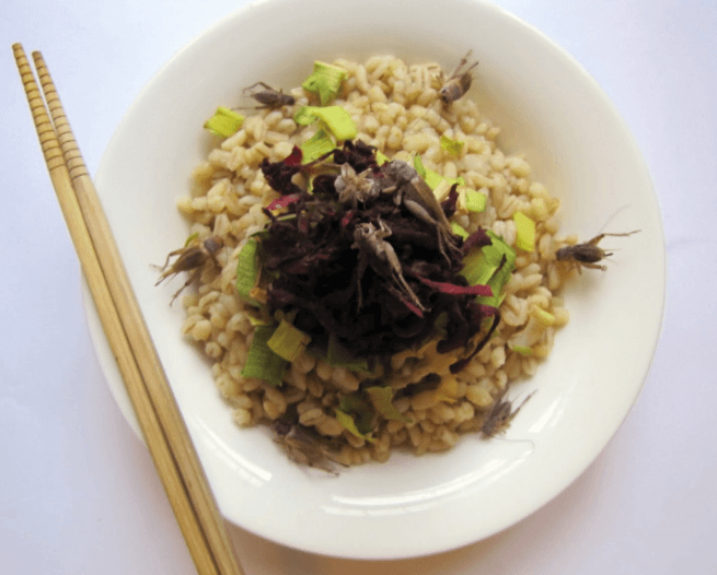 cómo se cocina el arroz con grillos